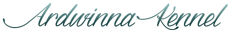 Ardwinna